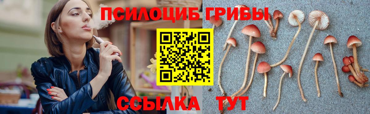 Кувандык  Галлюциногенные грибы прущие грибы  Вход с VPN 
